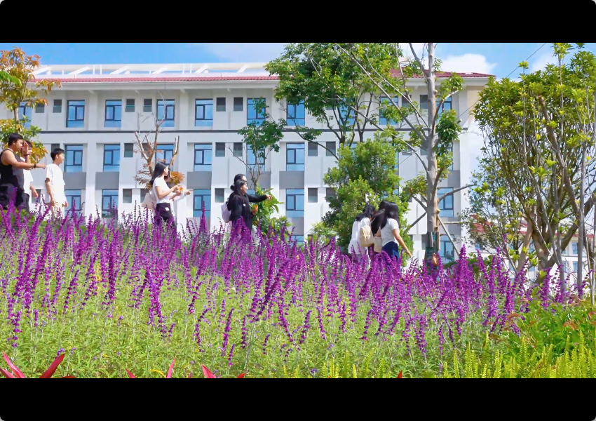 下午下课后，又迎来了周末时光